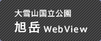 R x WebView