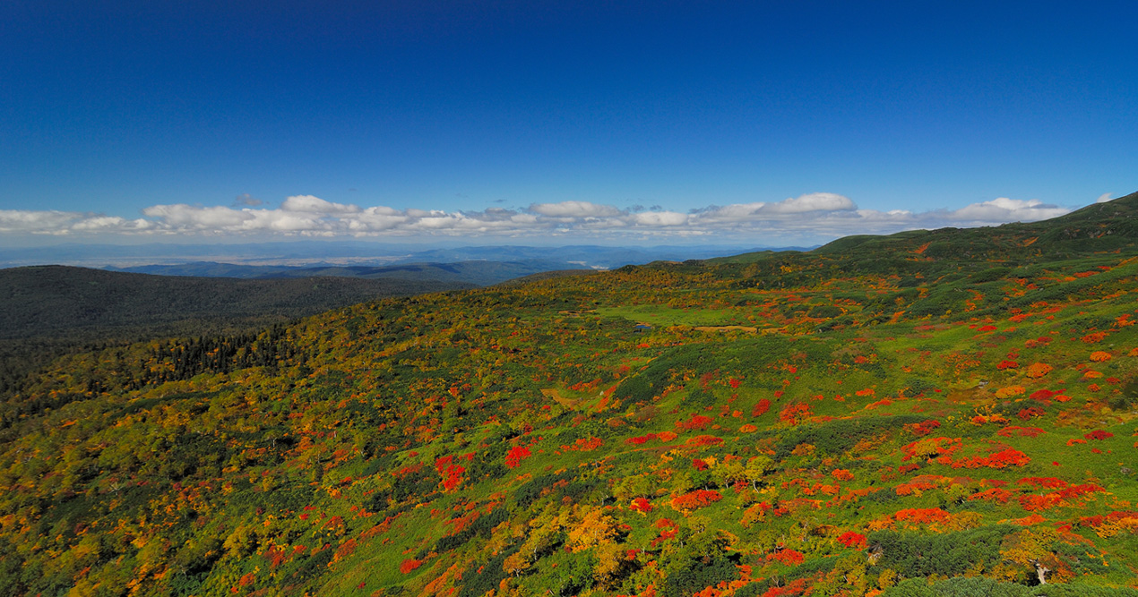 HIGASHIKAWA THE TOWN OF PHOTOGRAPHY