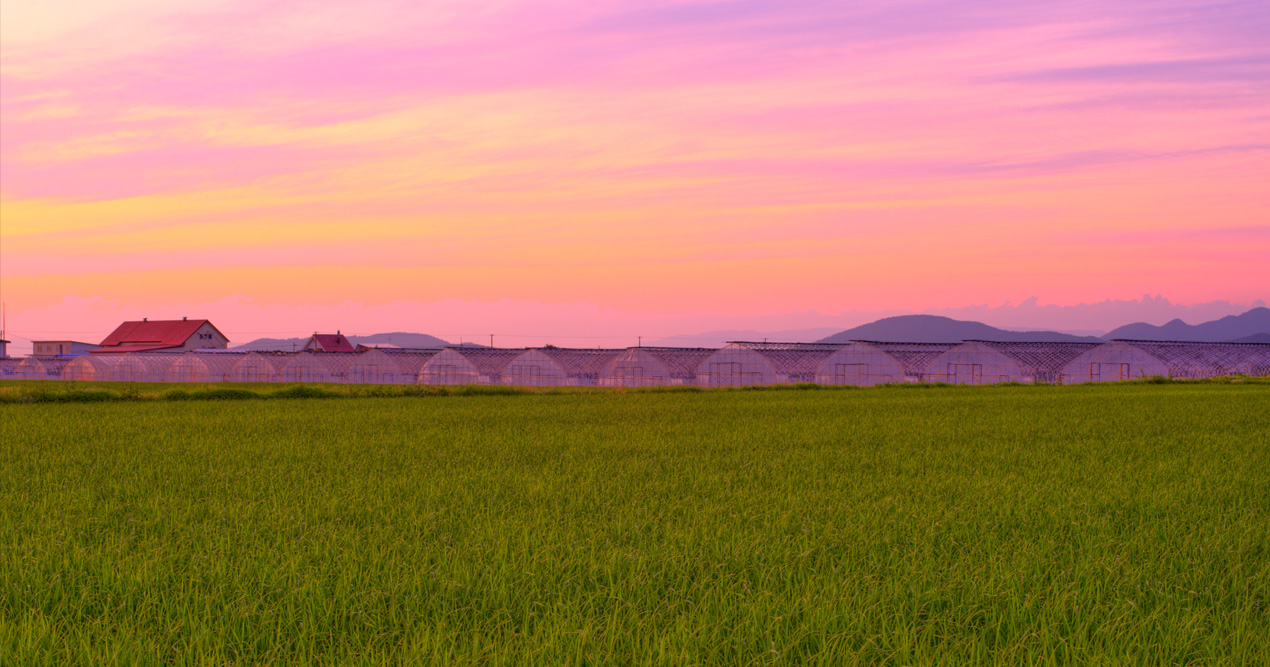 HIGASHIKAWA THE TOWN OF PHOTOGRAPHY