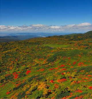 HIGASHIKAWA THE TOWN OF PHOTOGRAPHY