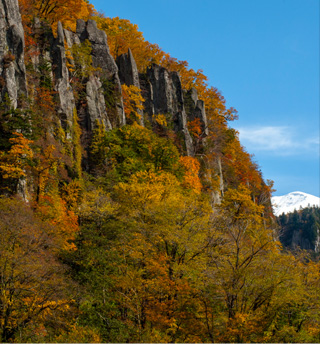 HIGASHIKAWA THE TOWN OF PHOTOGRAPHY