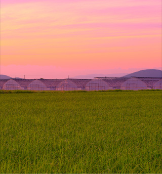 HIGASHIKAWA THE TOWN OF PHOTOGRAPHY